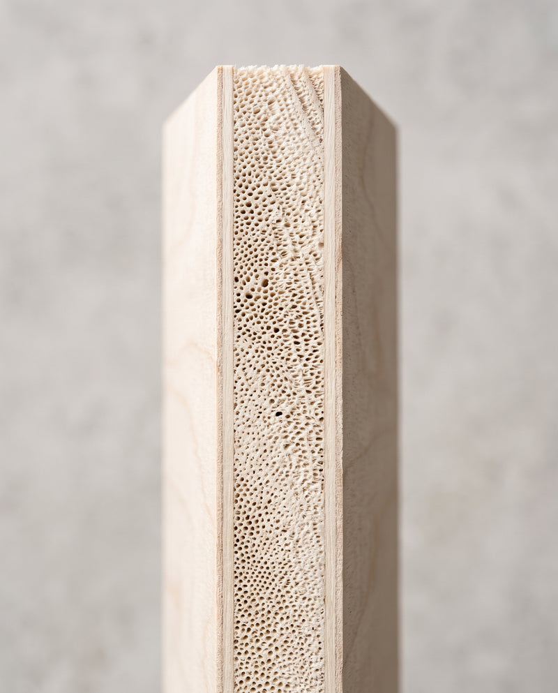 Paulownia Core