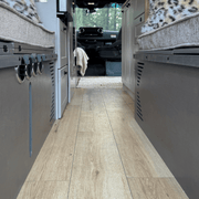 Pastel Sage Dinette Bench to Bed for Your Sprinter 170 Van | Vankea